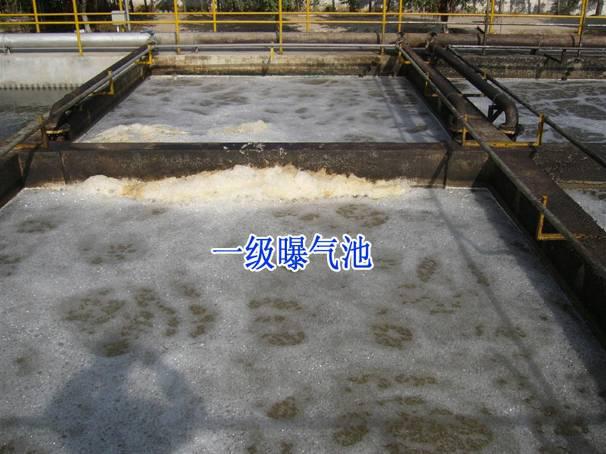 污水处理一级曝气池工艺