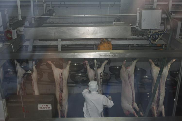 广东富农食品有限公司废水工程